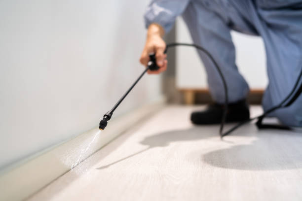 Licensed Pest Control service in Hampton, IA - Show Me Pest Control
