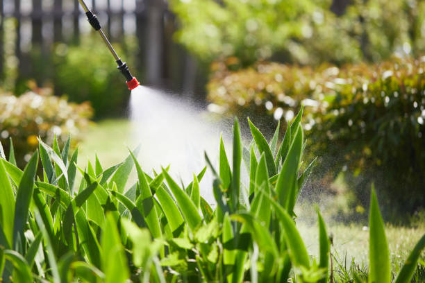 24/7 Emergency Mosquito Control experts in Hampton, IA