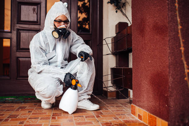Reliable Mosquito Control contractor in Hampton, IA by Show Me Pest Control